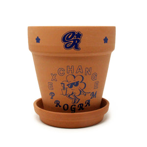 Ceramic Terracotta Planter